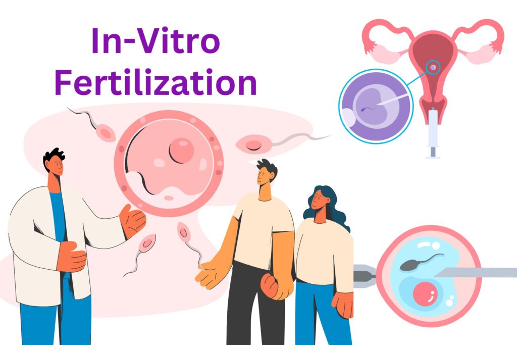 What is In-Vitro Fertilization (IVF) 2024 1 in-Vitro Fertilization-What is In-Vitro Fertilization (IVF) 2024