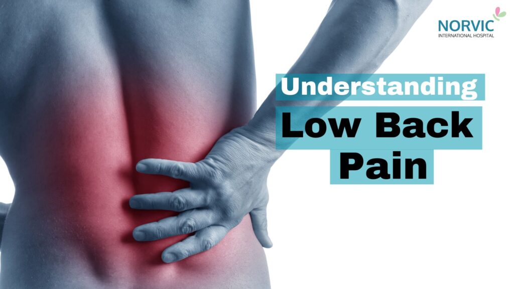 How Physical Therapy Can Transform Your Recovery from Low Back Pain 1 Low Back pain