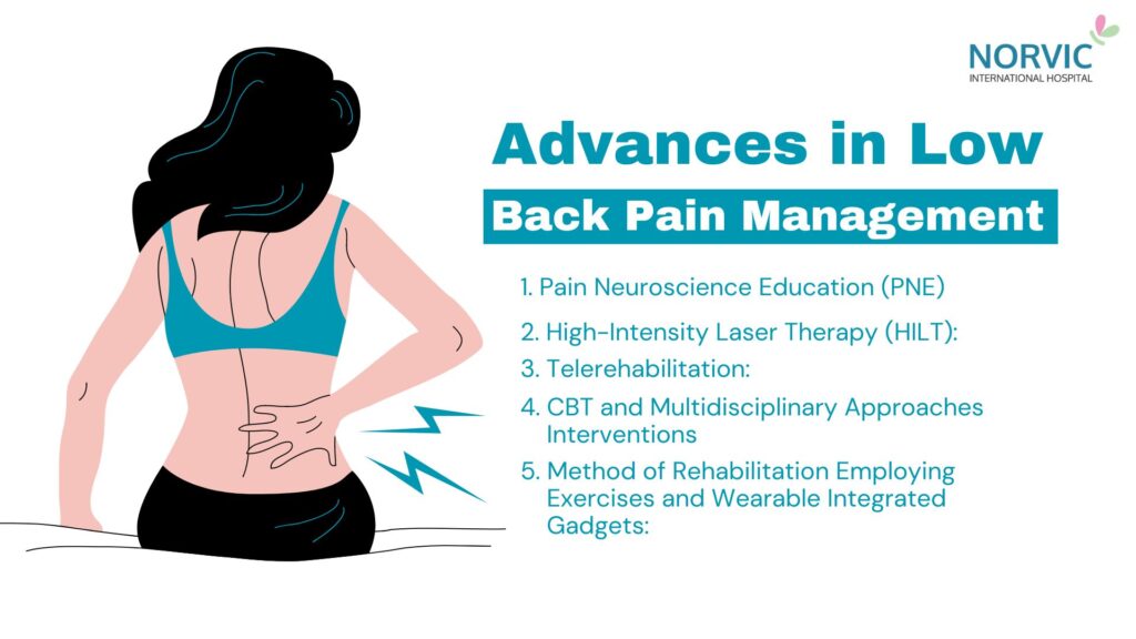 How Physical Therapy Can Transform Your Recovery from Low Back Pain 2 low back pain management