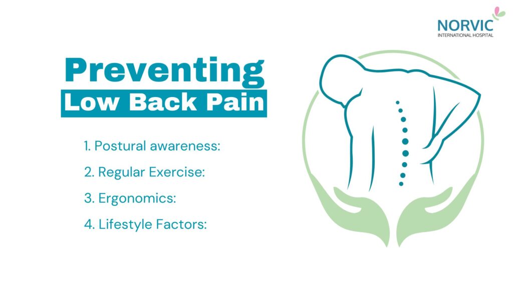 How Physical Therapy Can Transform Your Recovery from Low Back Pain 3 preventing from low back pain